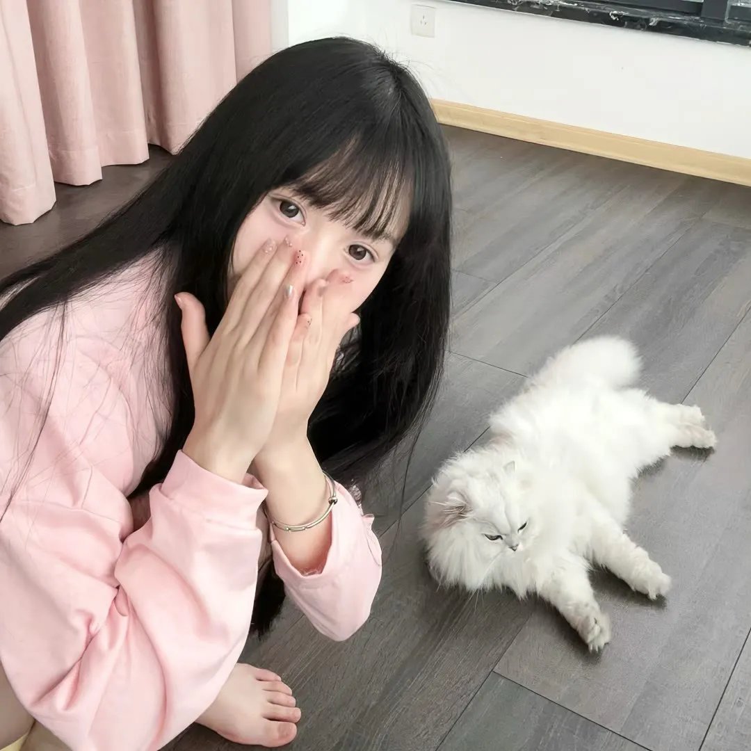 人狼游戏:疯狂的狐狸