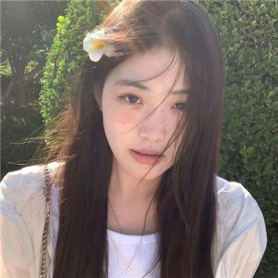 雍正王朝